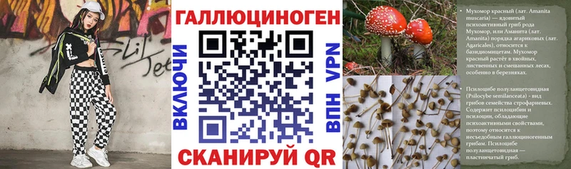 где продают   Малаховка  Галлюциногенные грибы мицелий 